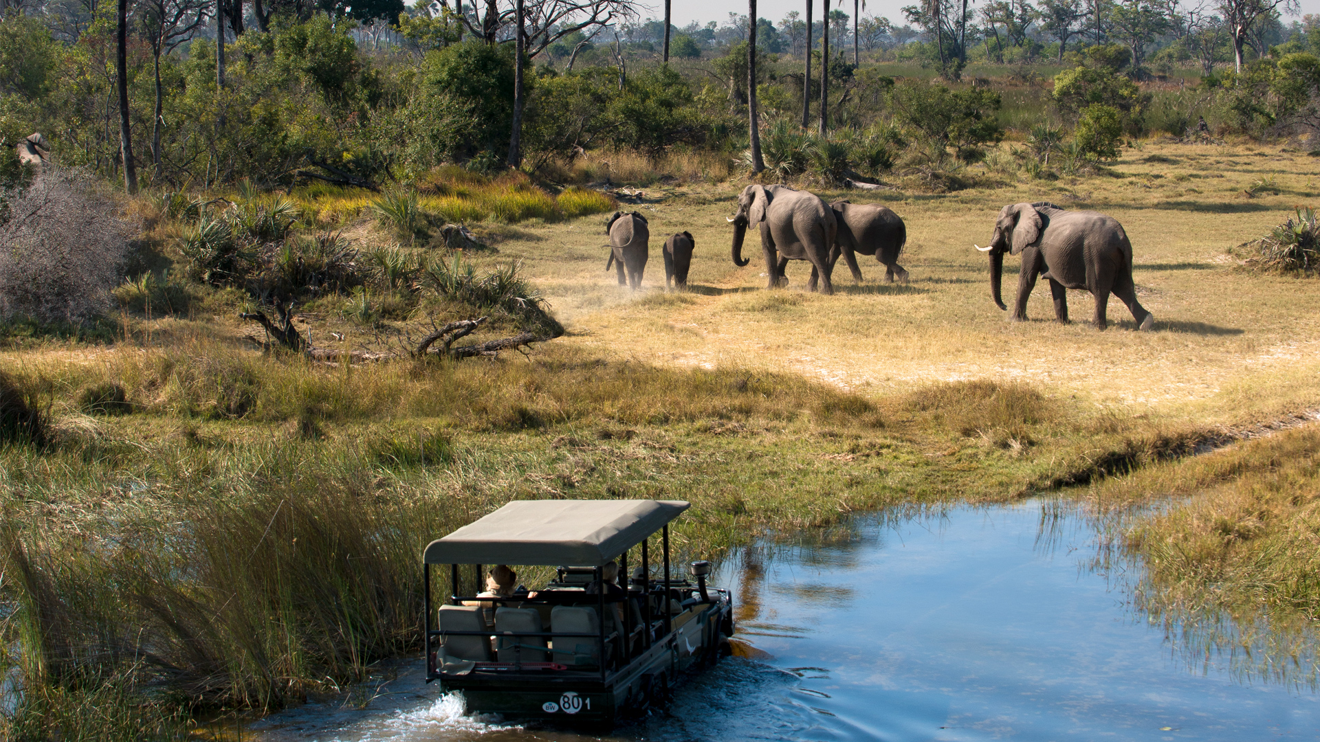 Luxury Botswana Safari | Safari Lodges