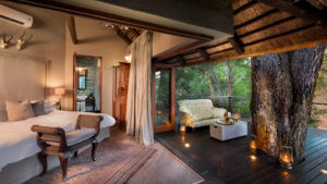 family suite at luxury andbeyond ngala safari lodge