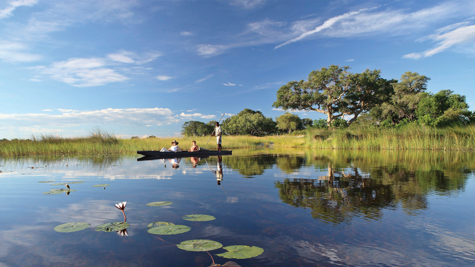 okavango delta