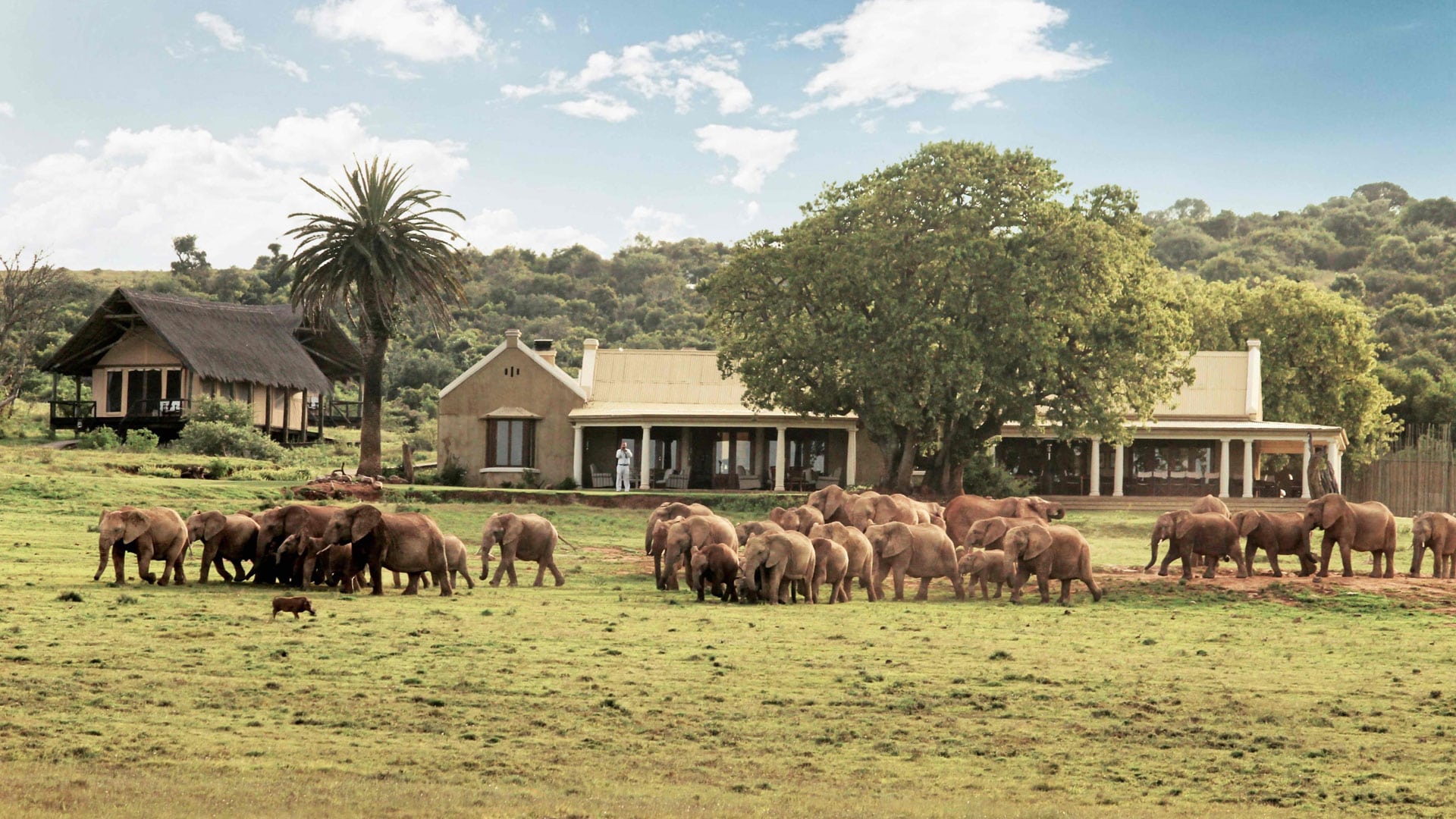 Gorah Elephant Camp Addo Elephant National Park AndBeyond