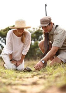 guide pointing to a tortoise on a bush walk safari