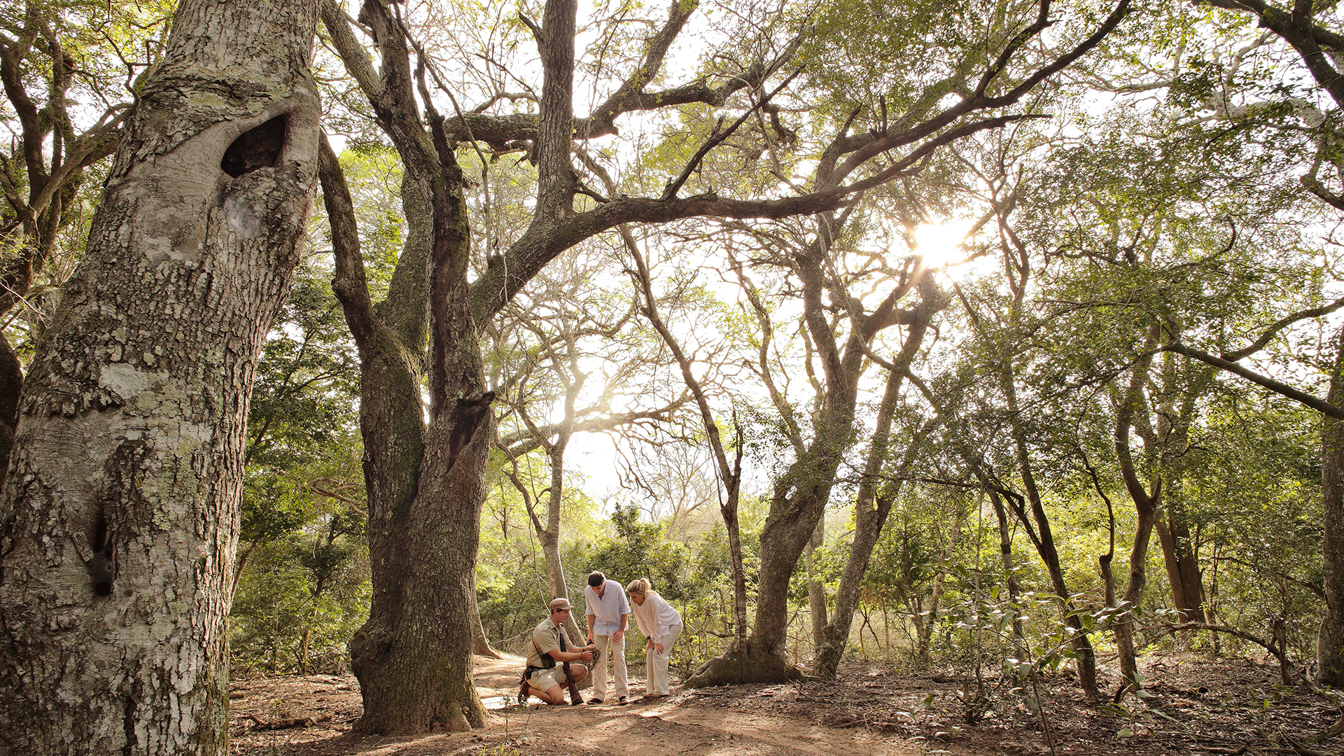 Walking Safaris, Phinda Private Game Reserve