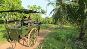 ox cart at horathapola estate in sri lanka