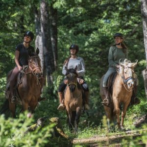 horseback riding on private forested trails