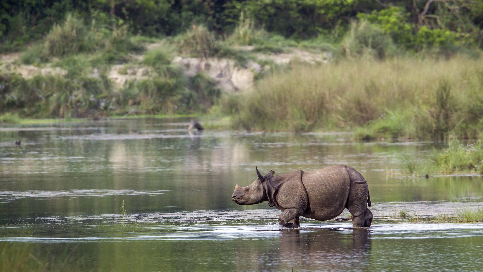 Kaziranga National Park | Heritage Site | andBeyond Kaziranga National Park | Heritage Site | andBeyond
