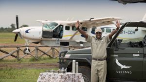 kichwa tembo masai mara airstrip welcome