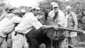 les carlisle and his son damian guiding a blindfolded rhino