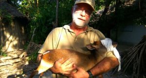 les carlisle holding a sedated aders duiker at andbeyond Mnemba