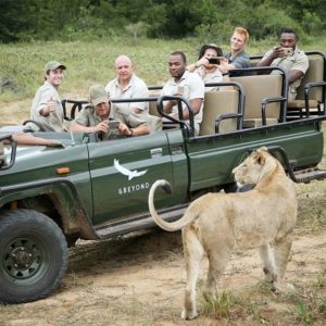 lioness close to safari vehicle at phinda by howard.cleland