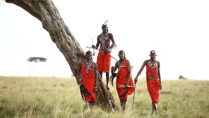 maasai men standing by a tree in the masai mara