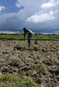 man working in a field africa foundation clef