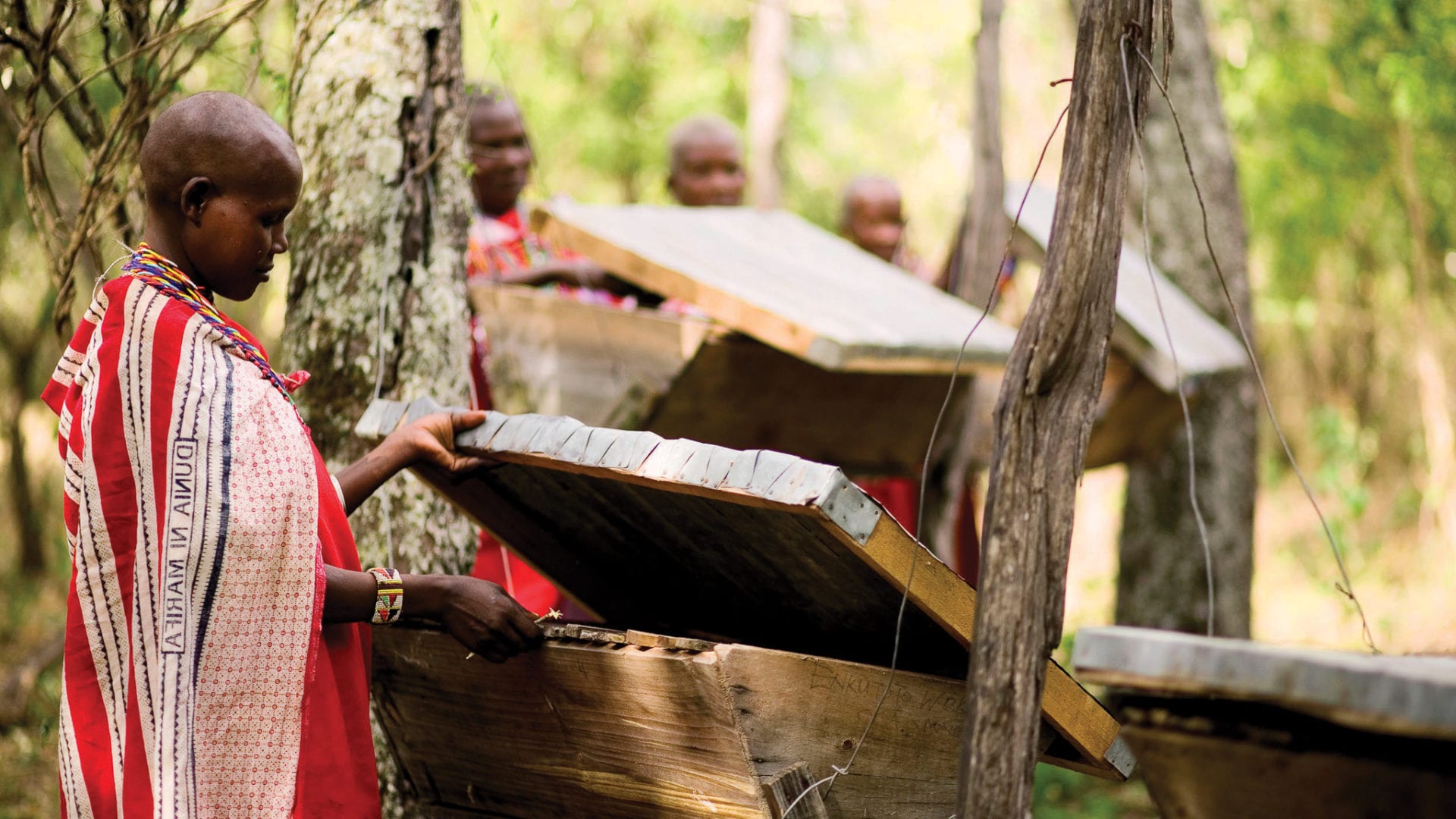 Beekeeping in Kenya's Masai Mara Supporting local communities andBeyond