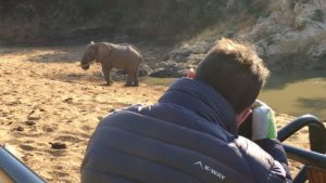 nick scott taking a photo of an elephant on a ngala safari