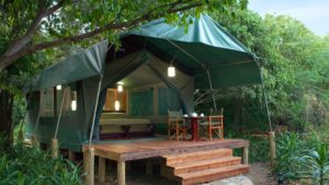 old guest tent at kichwa tembo