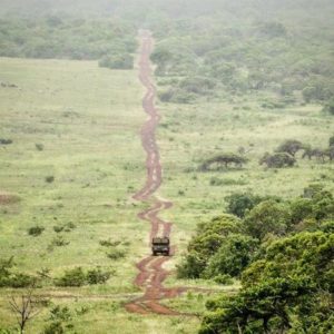 roads at phinda by howard.cleland