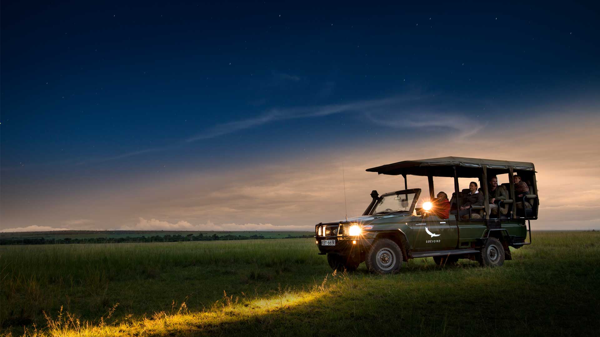 safari night drive