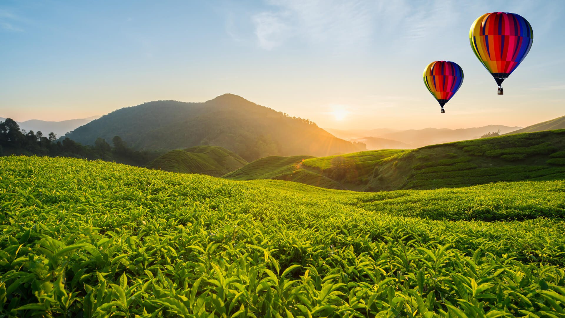 Hot air ballooning in Sri Lanka