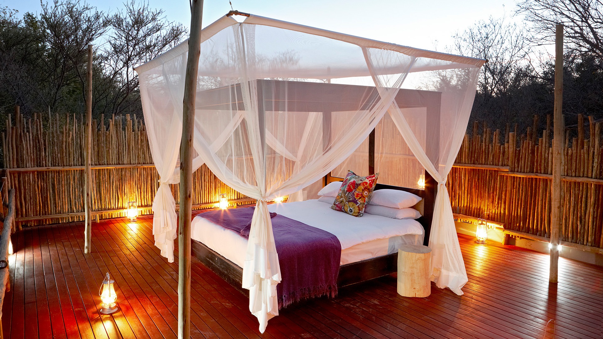 Image result for image jacqui lodge madikwe sleep under the stars bed