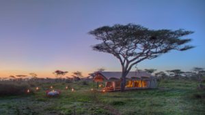 tent exterior at dusk at andbeyond serengeti under canvas