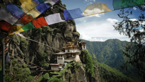 tigers nest in asia