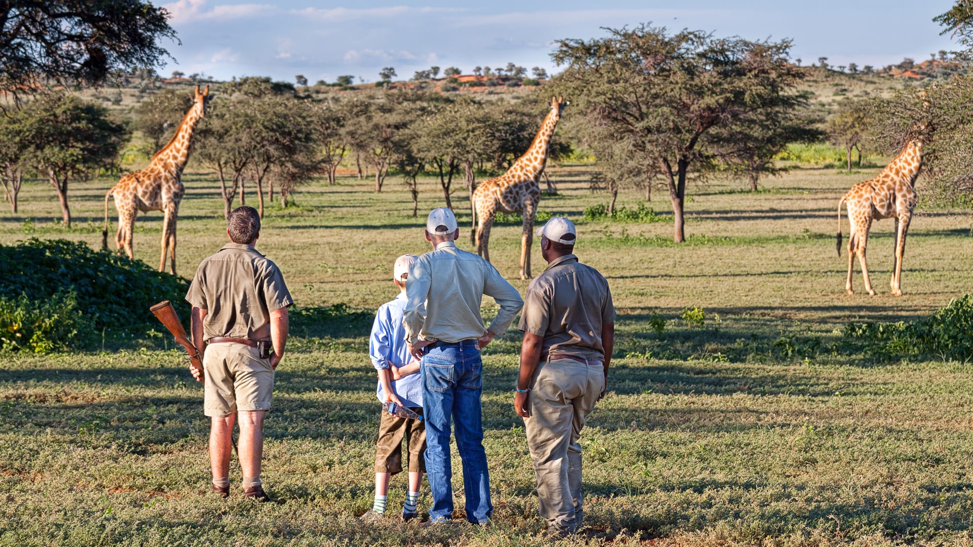 african bush safaris