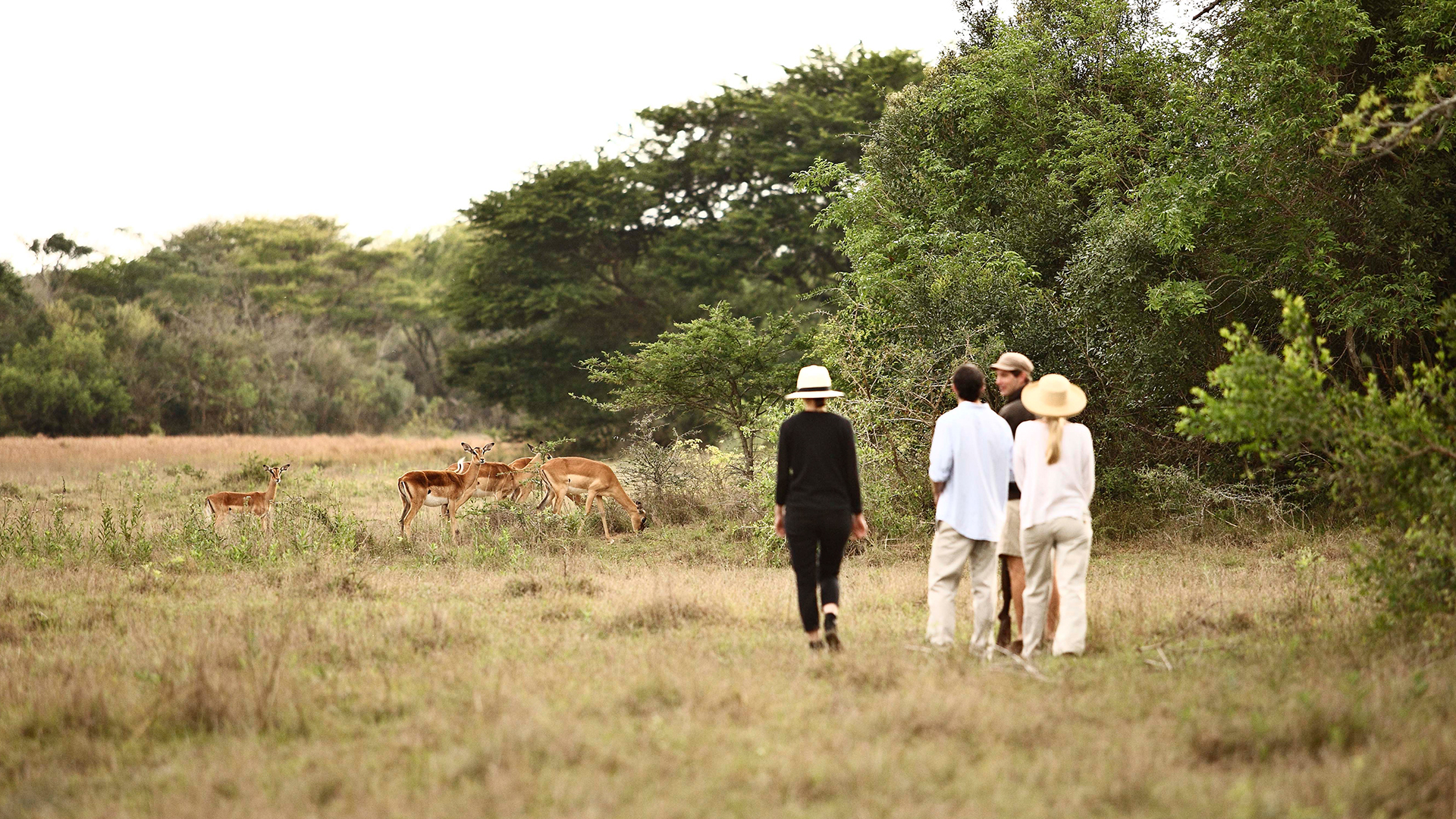 Guided Bush Walk South Africa Safari Andbeyond Guided Bush Walk South Africa Safari Andbeyond
