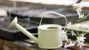 watering jug white